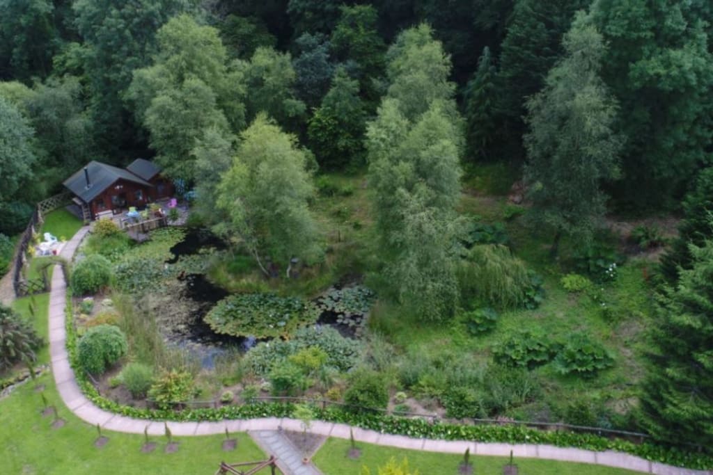 Aerial view of the cabin, the annex and the lily pond