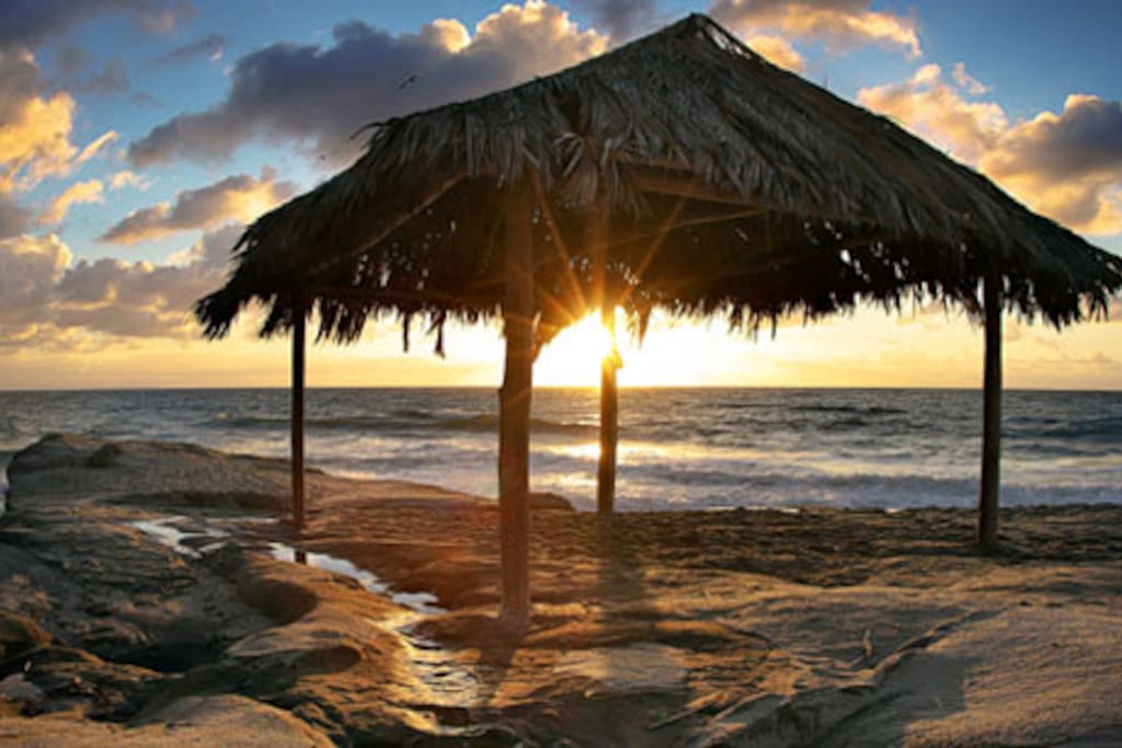 Windnsea World Renown Beach