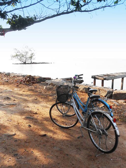 We rent out bicycles to a very reasonable price
