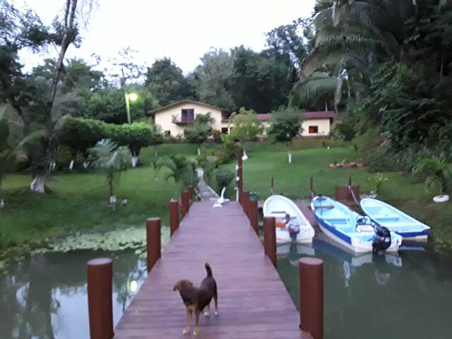 Little Paradise on the river in Rio Dulce,  GT