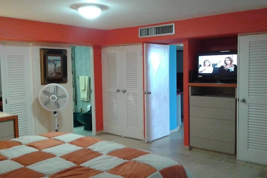 Spacious master bedroom, private full bath, TV, lost of space and walking closet next to the bathroom.