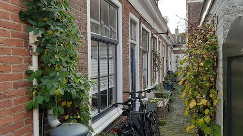 Knus zelfstandig huisje in Haarlem