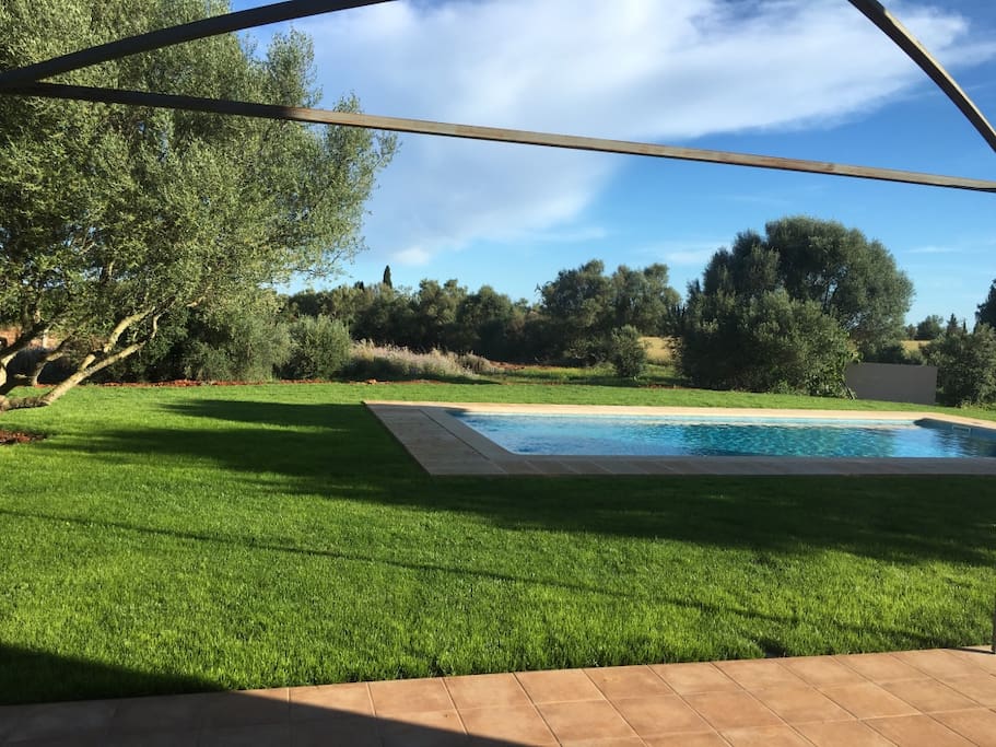 PISCINA Y JARDIN