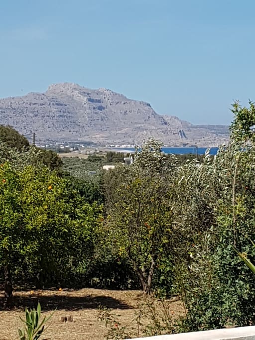 The view from the villa
