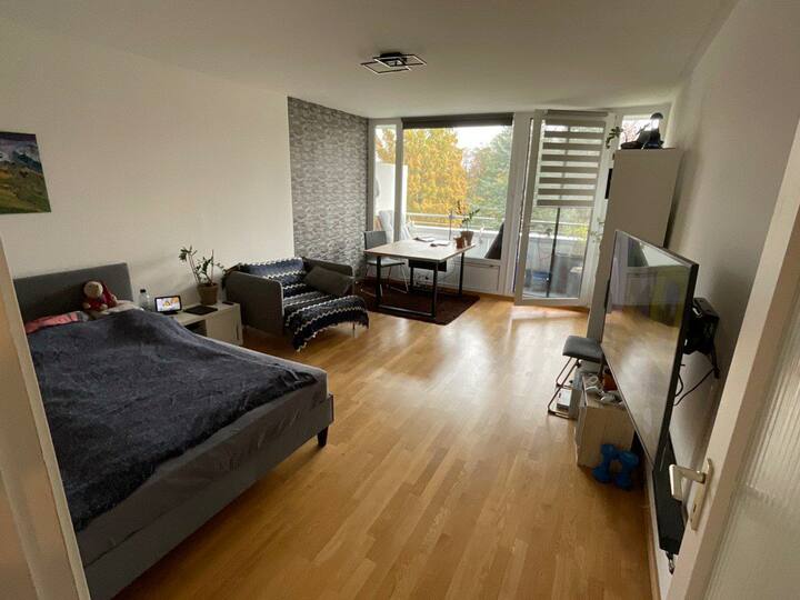 Apartment in Bogenhausen Flats for Rent in Munich, Bayern, Germany