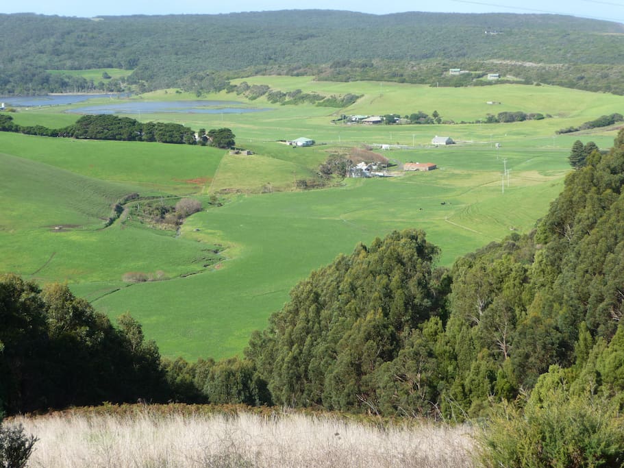 Johanna Valley View
