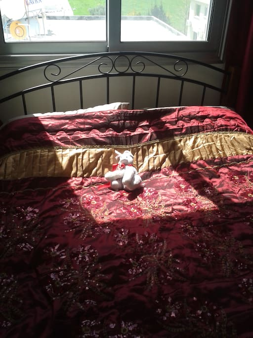 Part of the master bedroom,pooch not included!