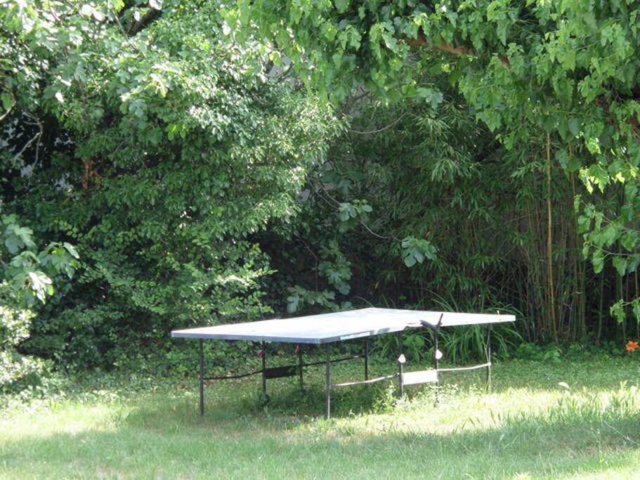 tennis de table