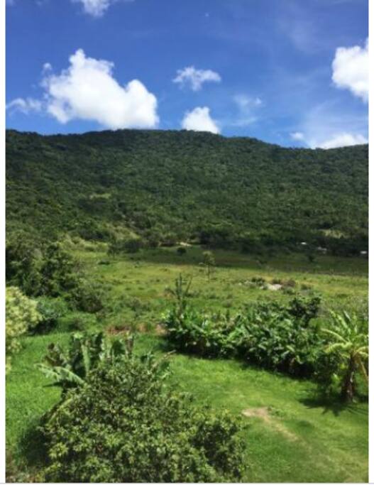 Vista do prédio - fundos