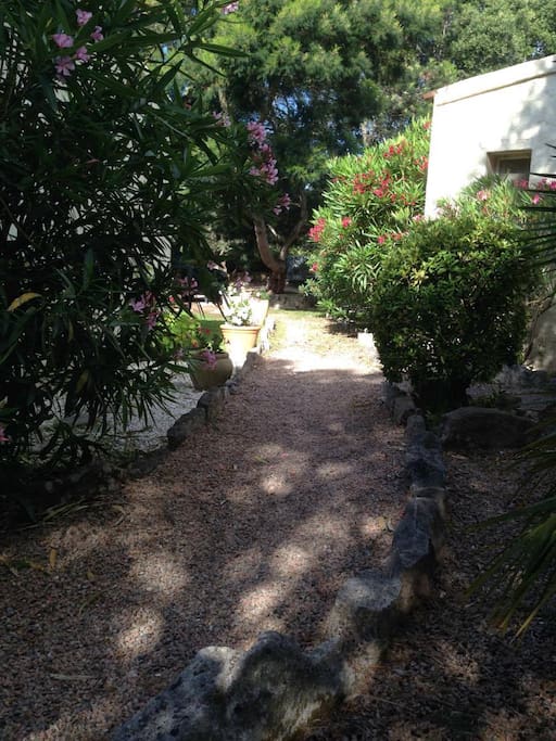 jardin