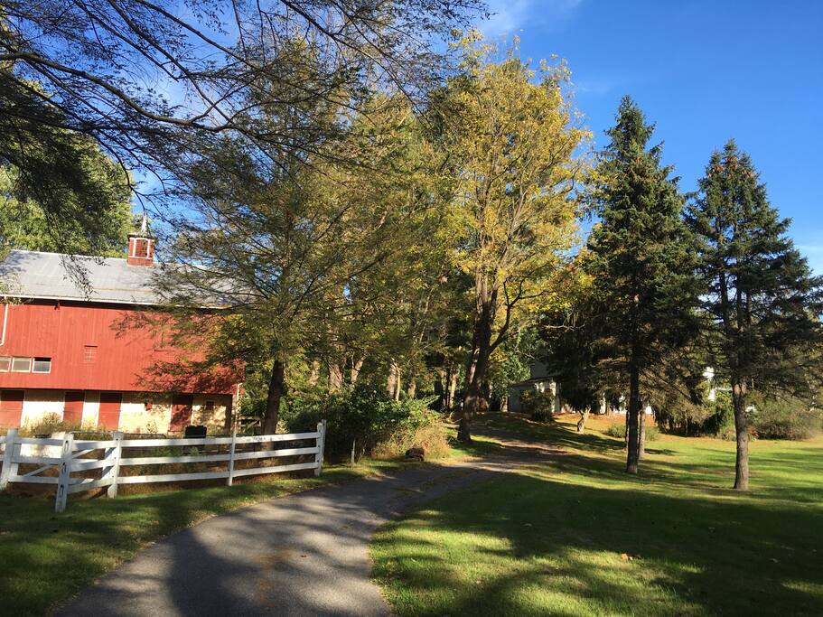 Driveway up to property