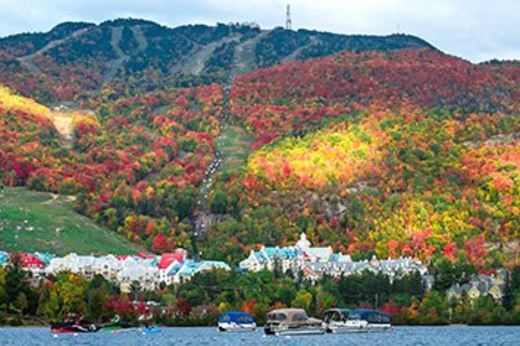 Spectacular fall colours