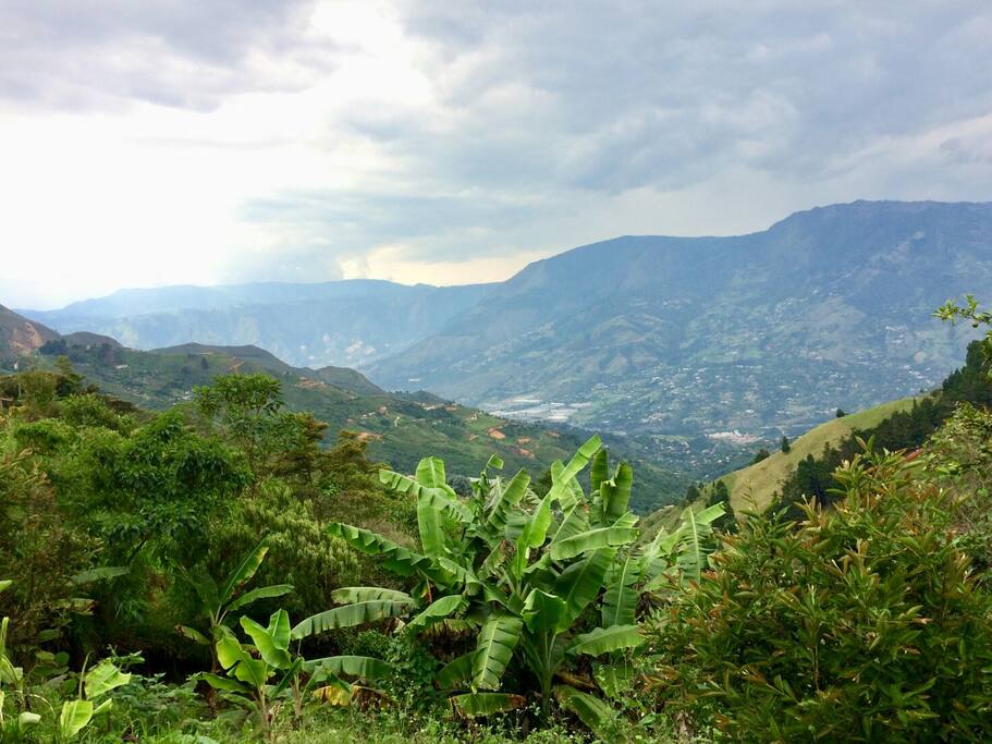 View from the house