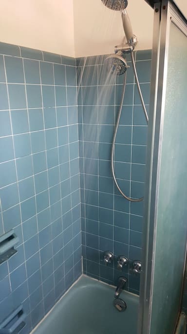 Dual head shower in you're private bathroom.