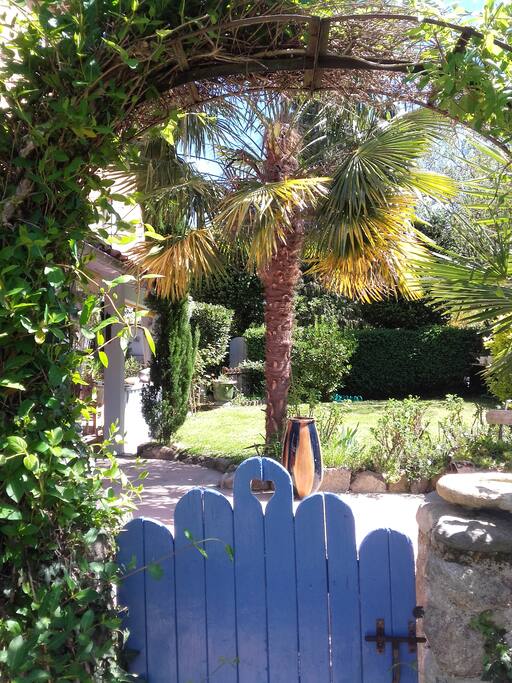 Cyprès, palmiers, bienvenue chez Anna