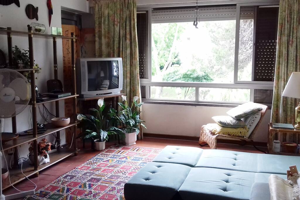 Living Room with 4 Sofa Beds