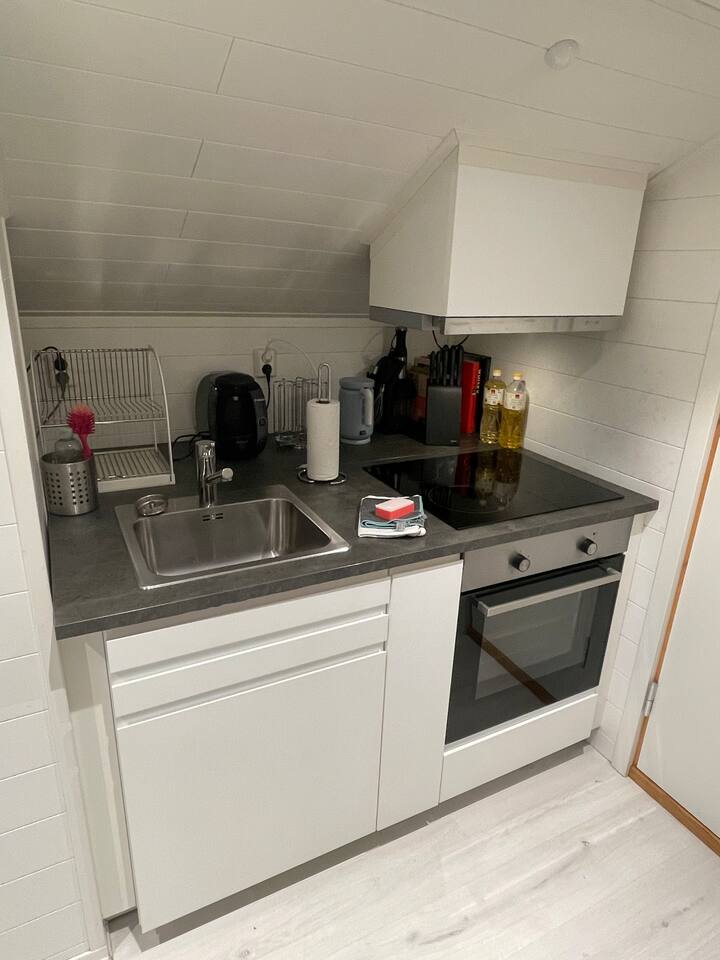 Loft studio at Grefsen/Kjelsås in Oslo