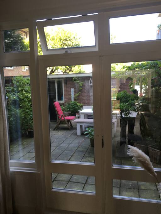 city backyard