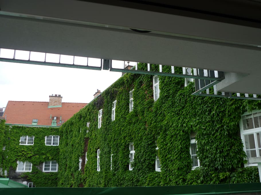 The view from the apartment's terrace/balcony
