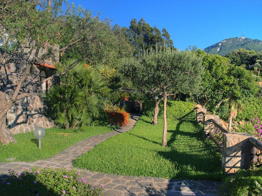 Giardino