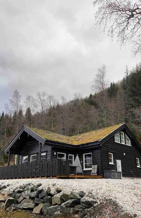 Oppheim:New family cabin in the scenic  surroundings