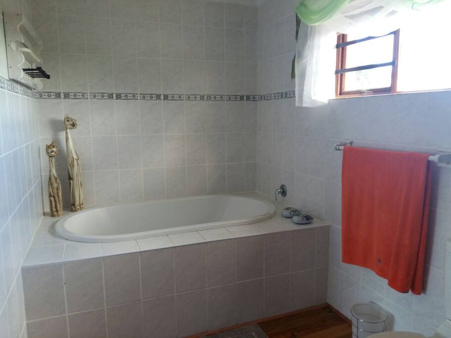 main bedroom bathroom with jucuzi bath