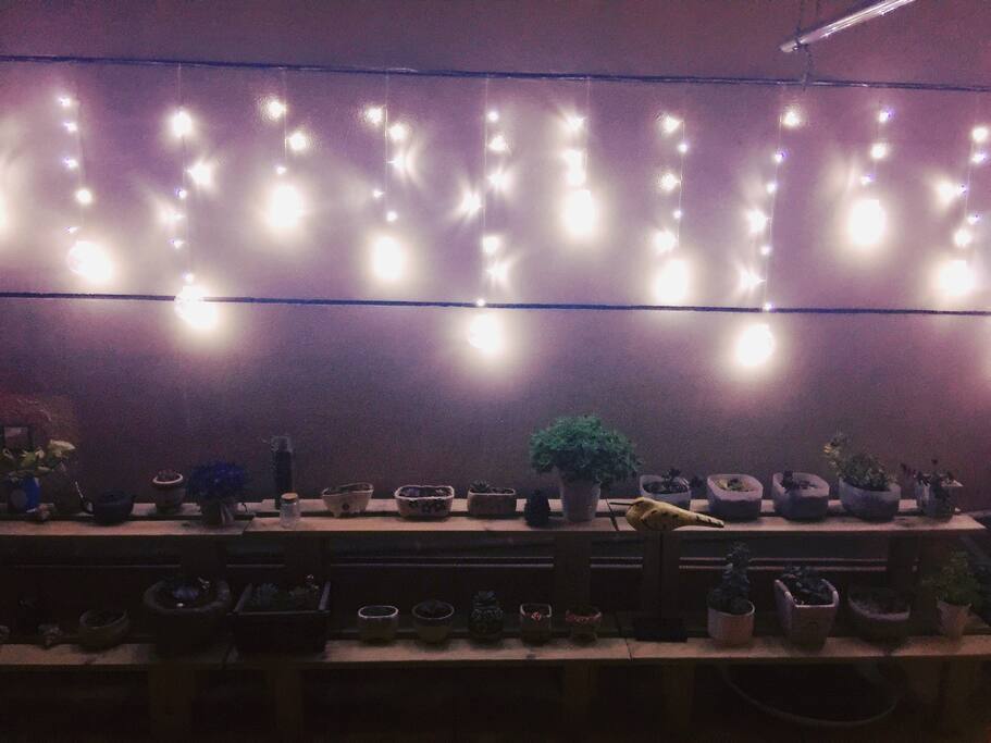 terrace
