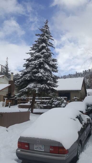 Plenty of snow at Joe's Little Cabin .