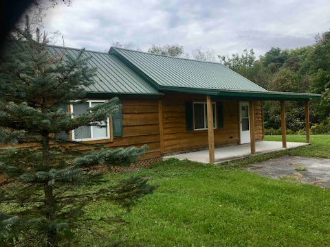 Cozy Cabin near Salmon River Falls