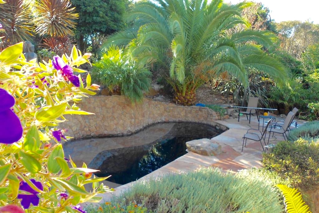 The pool and lower patio