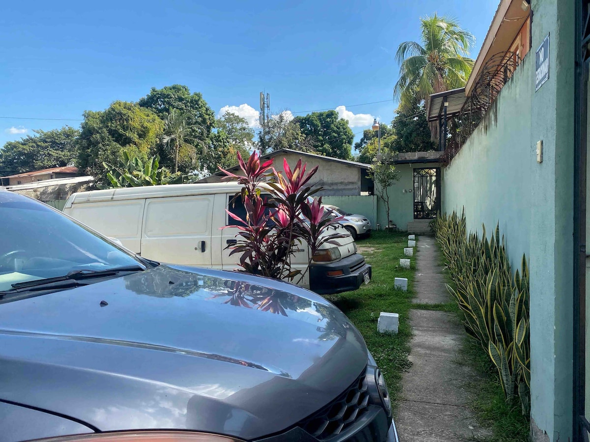 A private parking area is visible, featuring several vehicles, including a gray car and a white van. Lush plants frame the space, while a pathway leads toward a white building and a fence covered with greenery. The backdrop includes tall trees and a clear blue sky.