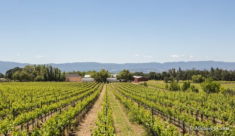 Los Olivos Vineyard Home on Winery Estate