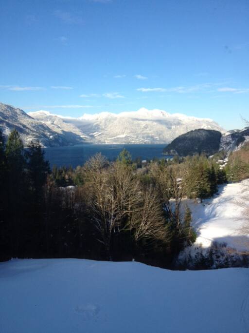 Winter views