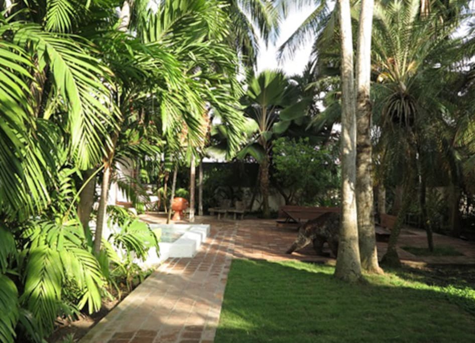 GENERAL VIEW AROUND THE POOL