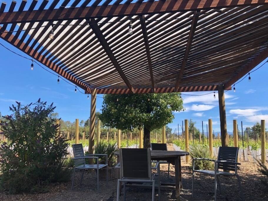 Eat your breakfast, lunch, and dinner underneath the pergola - shaded during the daytime and lights to enjoy in the evening.