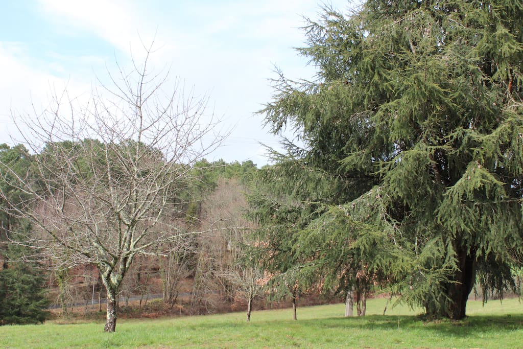 Vue depuis le gîte
