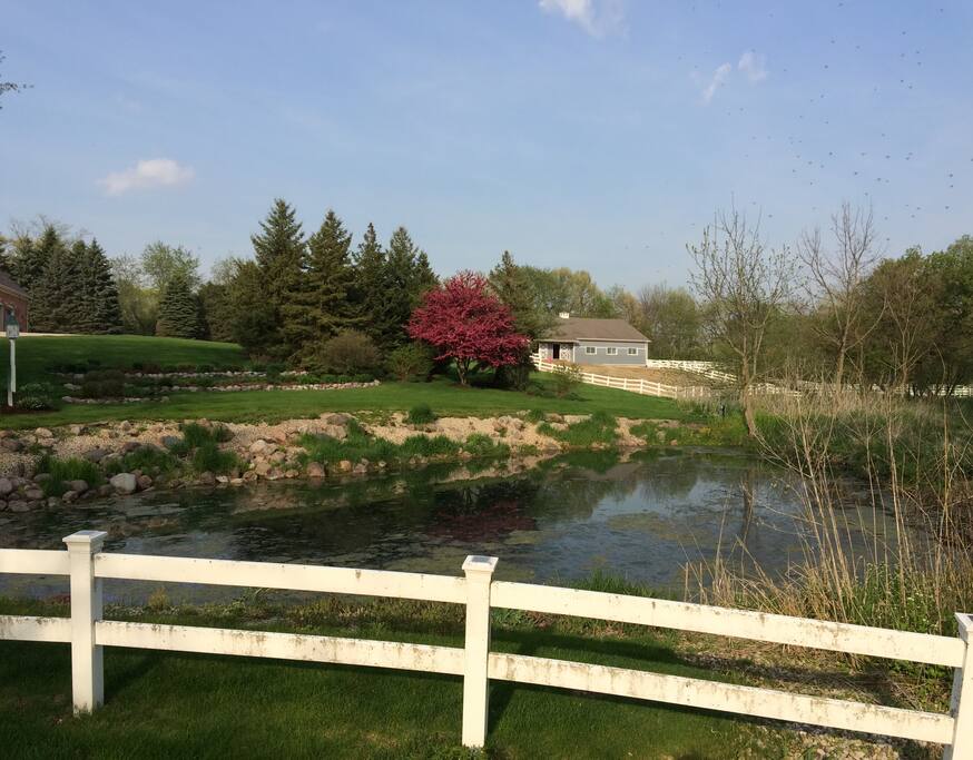 Shot of the pond and barn.