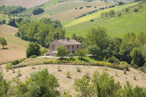 Lavanda - Il Casale di Giovanna