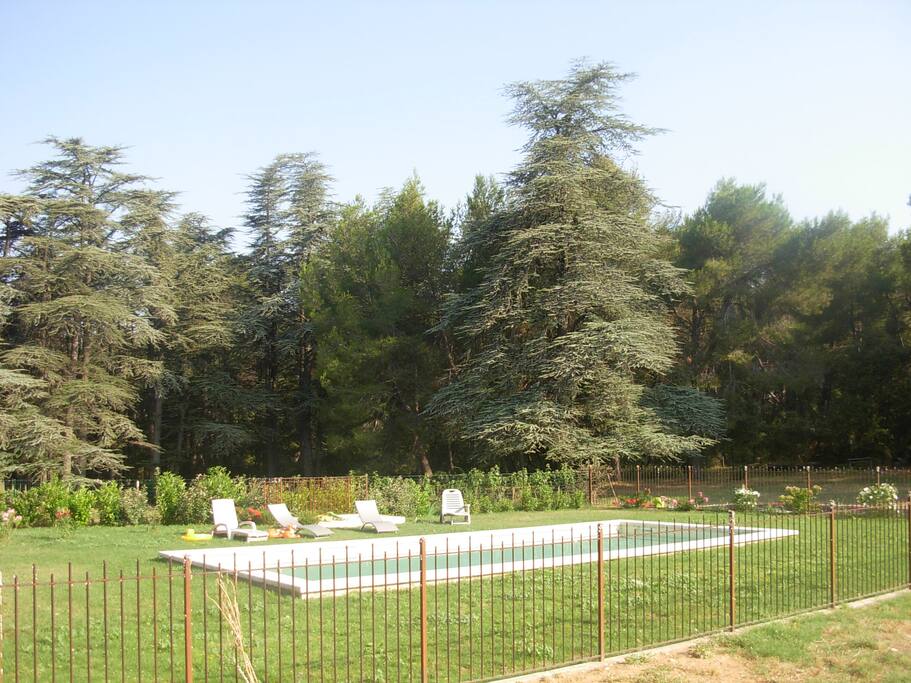 piscine