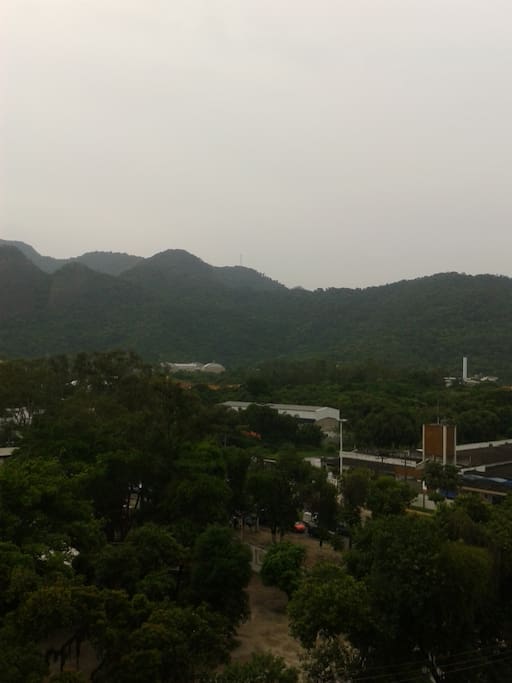 panoramica da vista da varanda, com a vegetação próxima e o parque da tv globo com a mata Atlântica ao fundo.