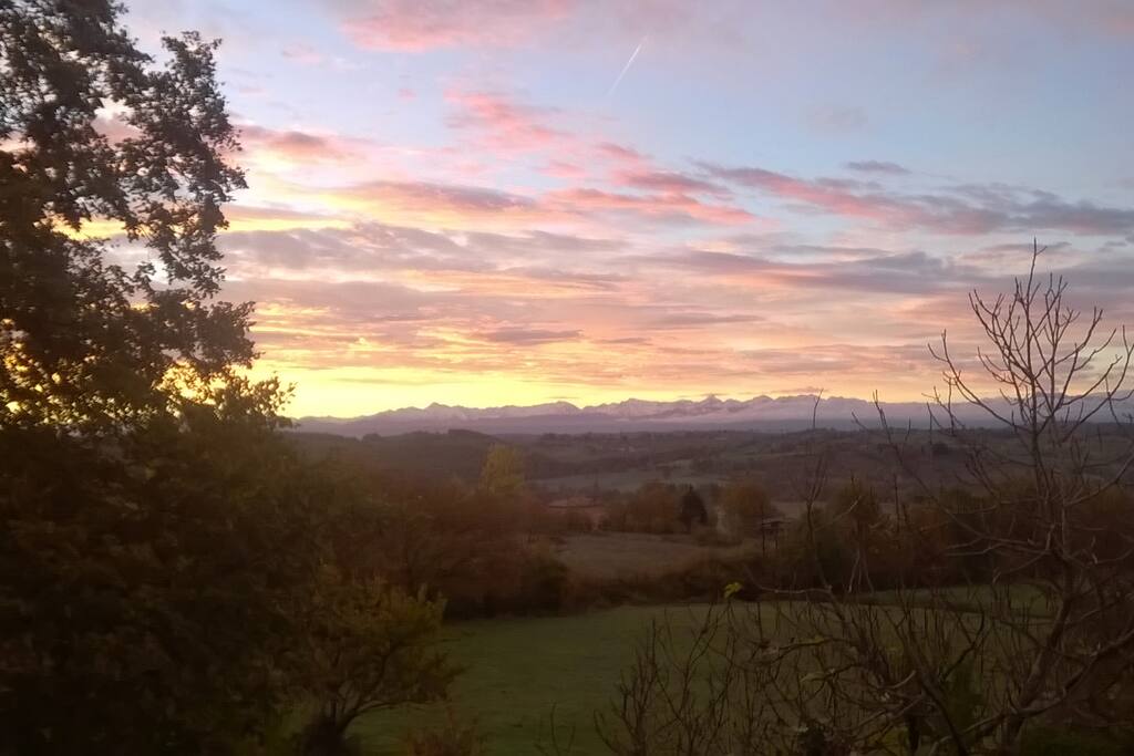 Vue de la chambre verte.