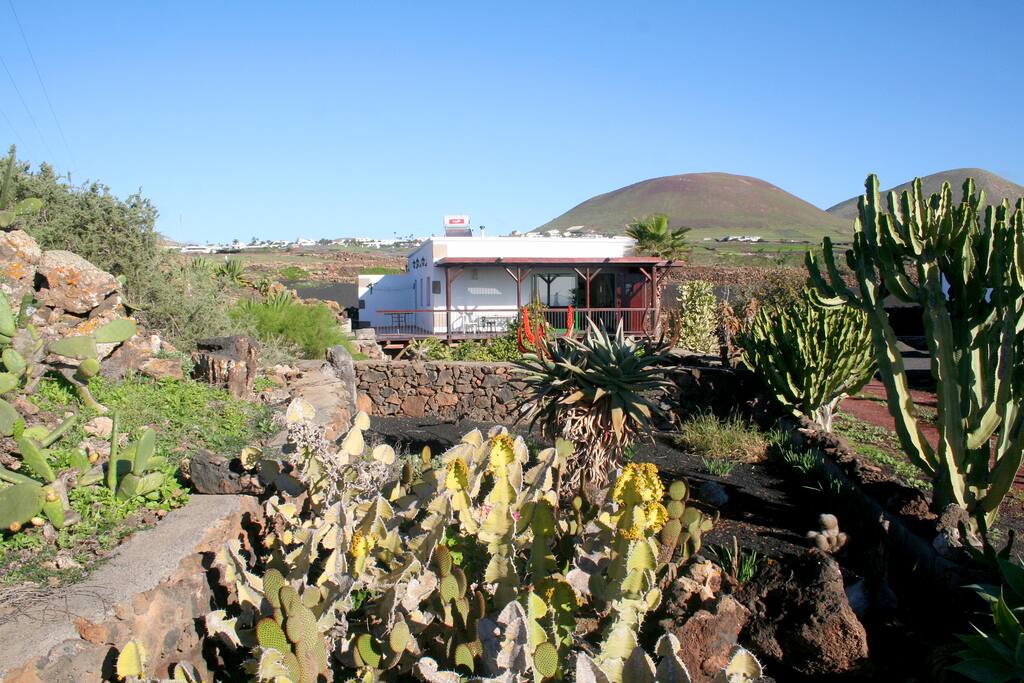 Huge garden leading to house