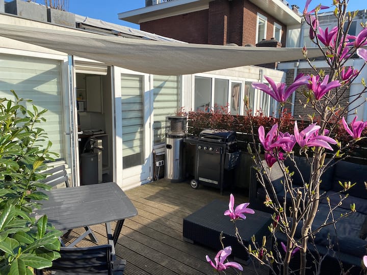 MAGNIFIQUE appartement sur le toit en terrasse ! ! ! Appartements en résidence à louer à