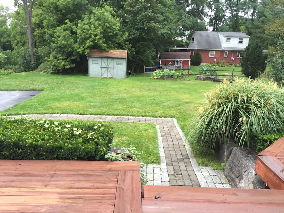 Spacious backyard with parking for 3 cars.