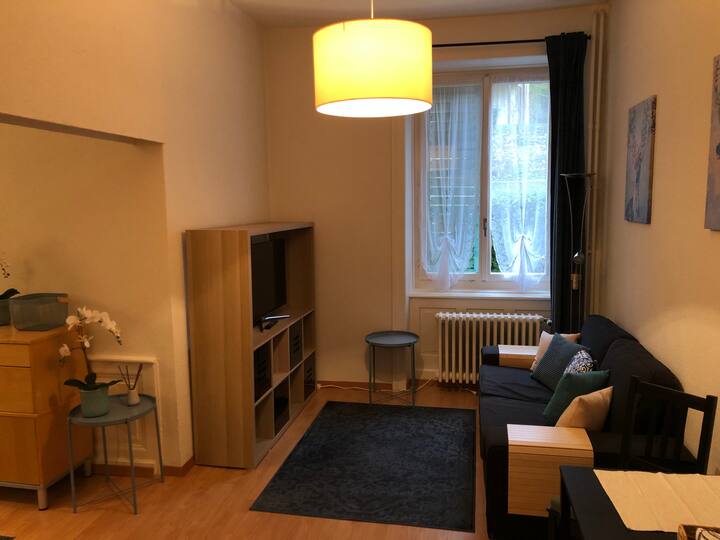 10 Best ShortTerm Rentals In Zürich, Switzerland Updated 2024 Trip101