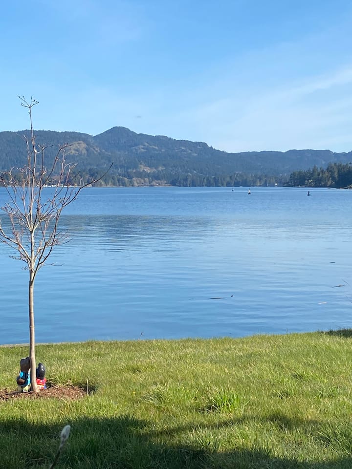 East Sooke Vacation Rentals & Homes British Columbia, Canada Airbnb