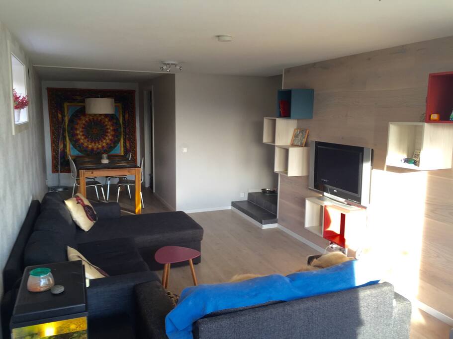 Living room with dining area