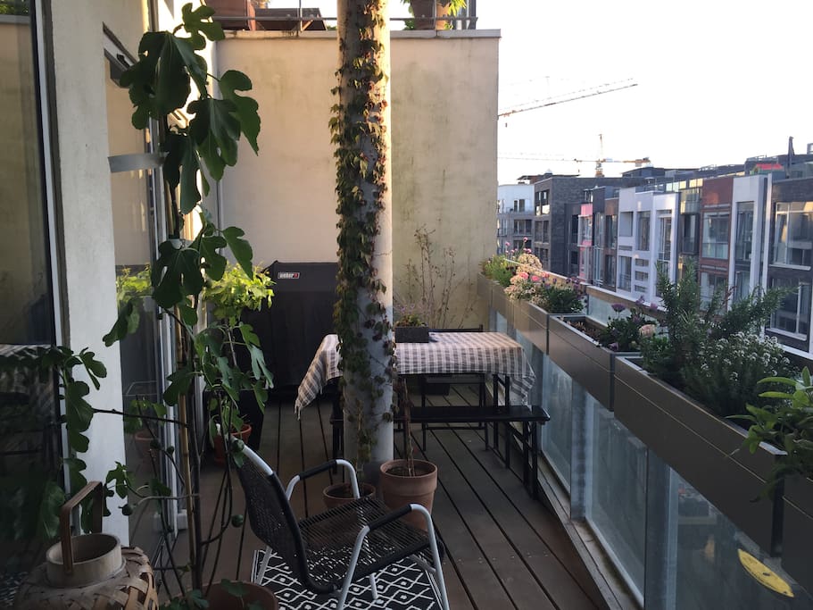 Balcony with afternoon/evening sun facing the canal