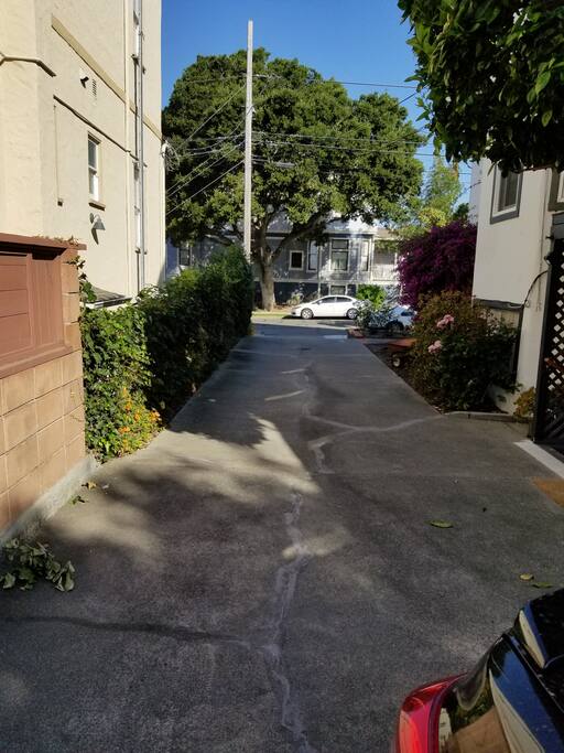 Driveway to walk up