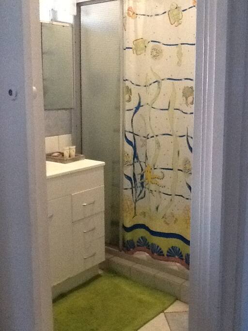 Shower/ separate toilet
